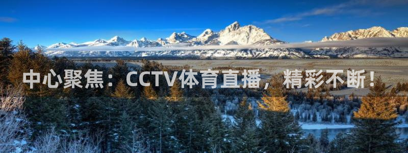 中心聚焦：CCTV体育直播，精彩不断！