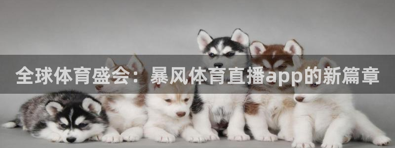 全球体育盛会：暴风体育直播app的新篇章