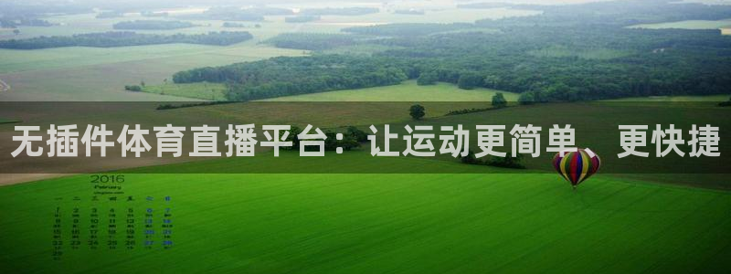 无插件体育直播平台：让运动更简单、更快捷