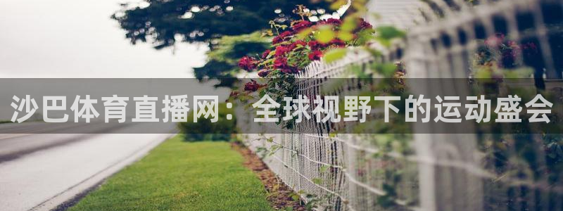 沙巴体育直播网：全球视野下的运动盛会