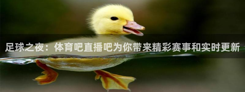 足球之夜：体育吧直播吧为你带来精彩赛事和实时更新
