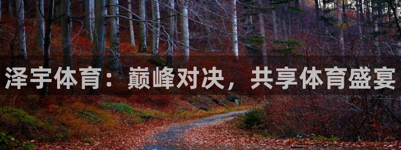 泽宇体育：巅峰对决，共享体育盛宴